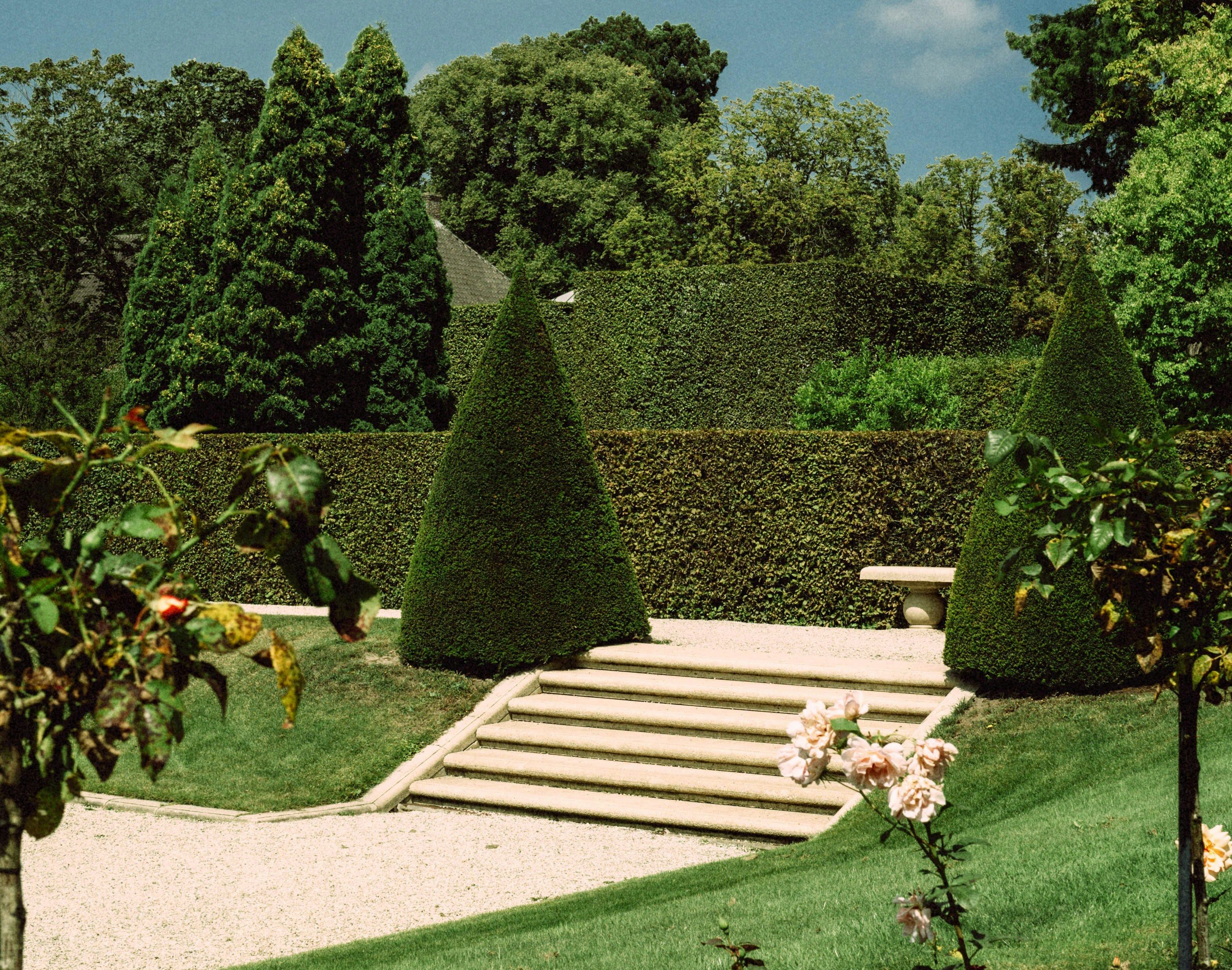 Manicured garden with topiaries and stone steps