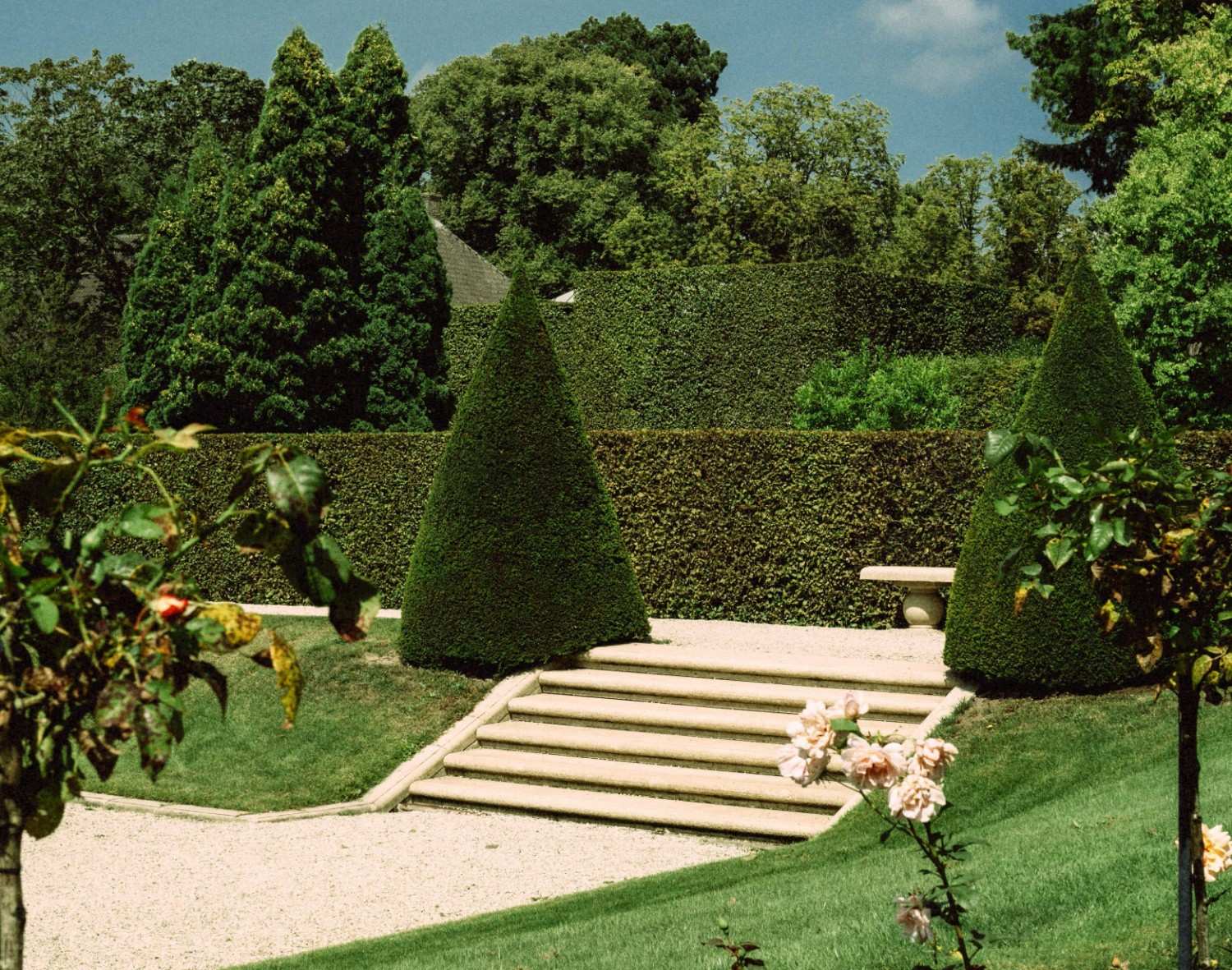 Manicured garden with topiaries and stone steps